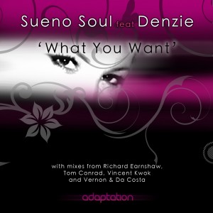 Sueno Soul feat. Denzie ‘What You Want’ (Tom Conrad Dub) [2009]