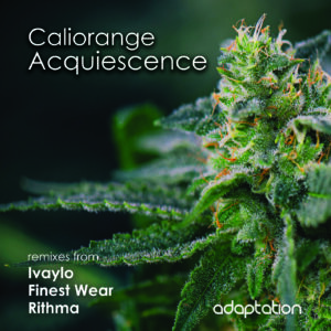 Caliorange – Acquiescence [2020]
